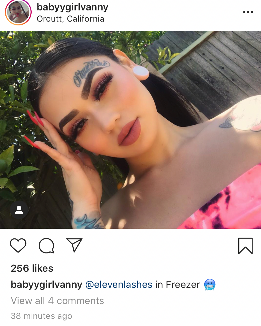 Freezer