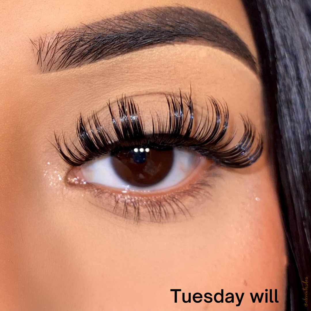 Tuesday (Aqua-Silk)