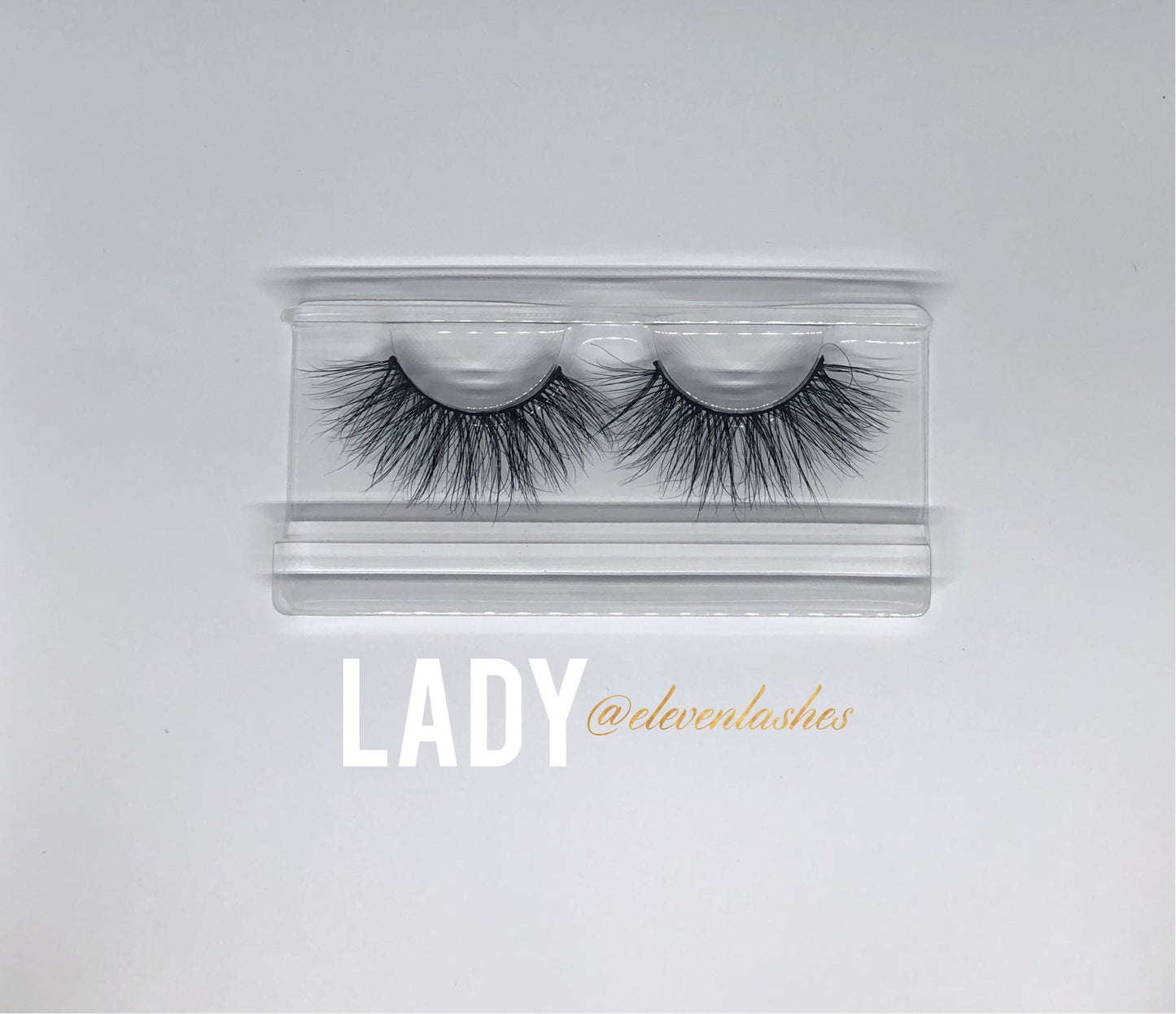 Lady