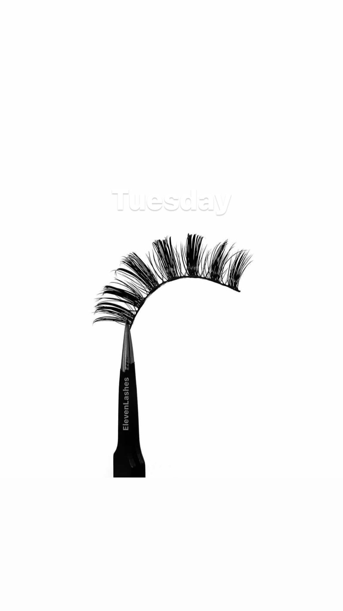 Tuesday (Aqua-Silk)