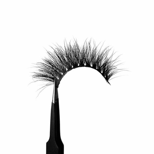 Navy Lashes